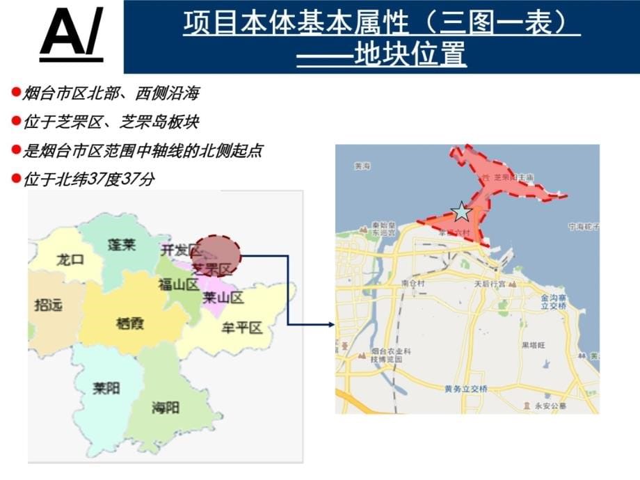 【思源】2010烟台万K芝罘岛项目定位研判74P演示教学_第5页