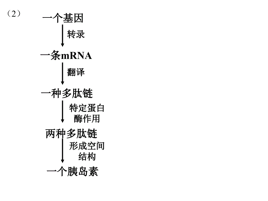 浙江省黄岩中学应晓萍培训资料_第4页