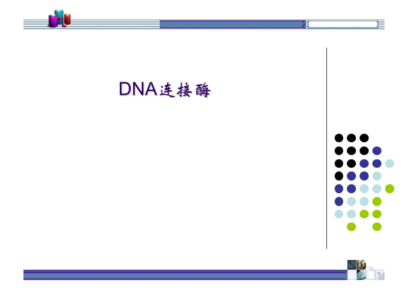 (正版)DNA连接酶[11页]_第1页