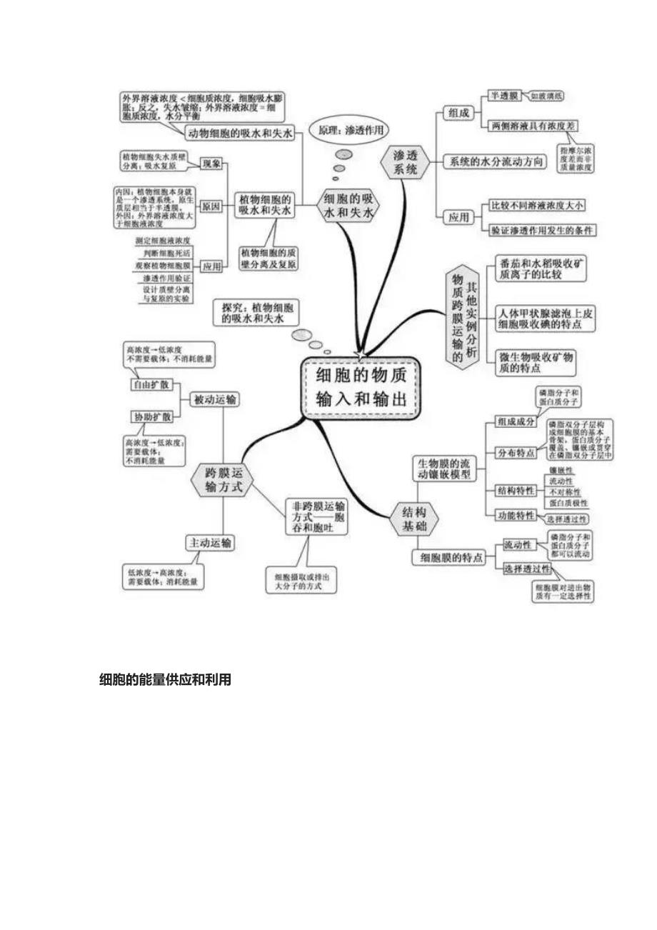 2021高考生物极简思维导图全汇总_第2页