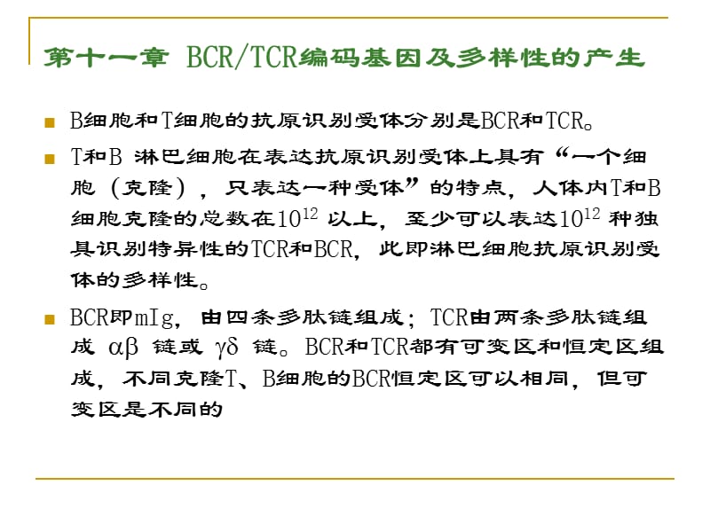 BCR TCR的编码基因培训讲学_第1页