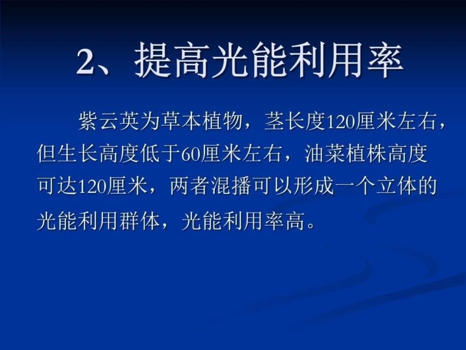 紫云英与油菜混播技术讲课资料_第5页