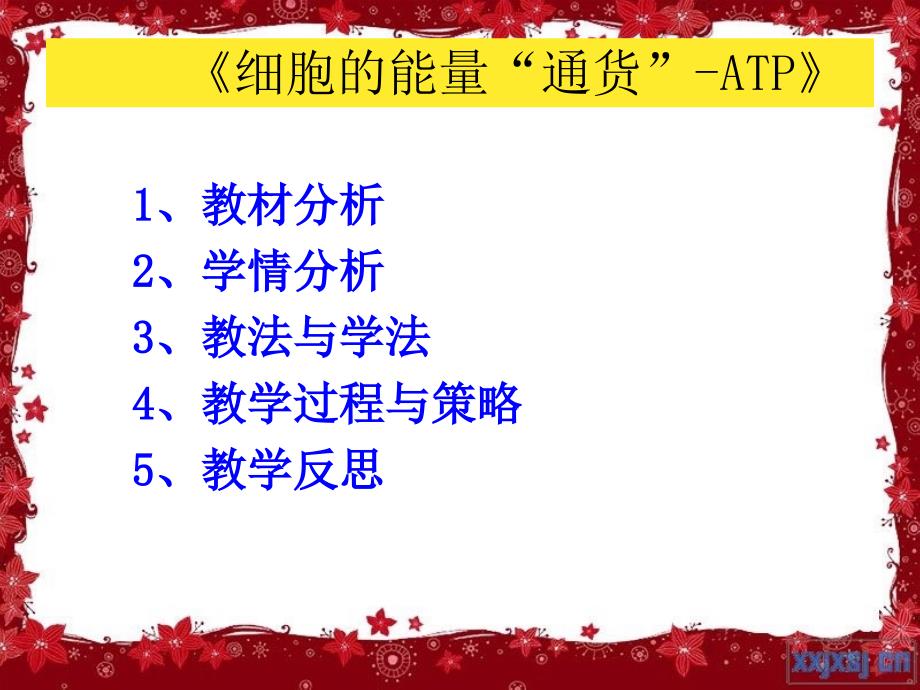 ATP-细胞的能量通货说课课件教学文案_第2页