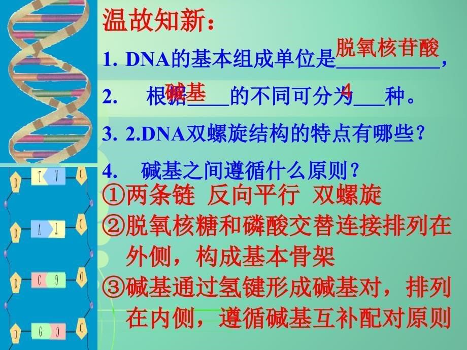 DNA的复制--省公开课课件上课讲义_第5页