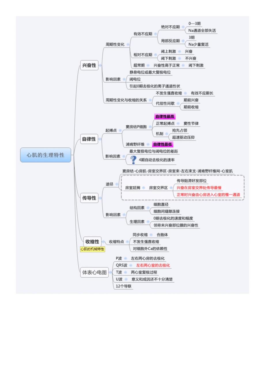 (正版)生理学思维导图_第3页