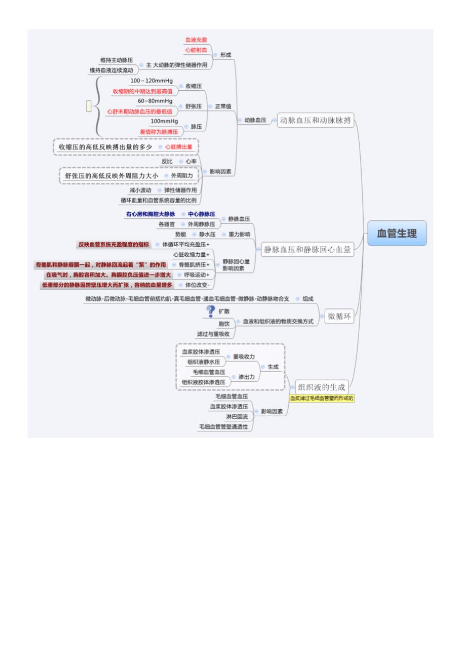 (正版)生理学思维导图_第4页