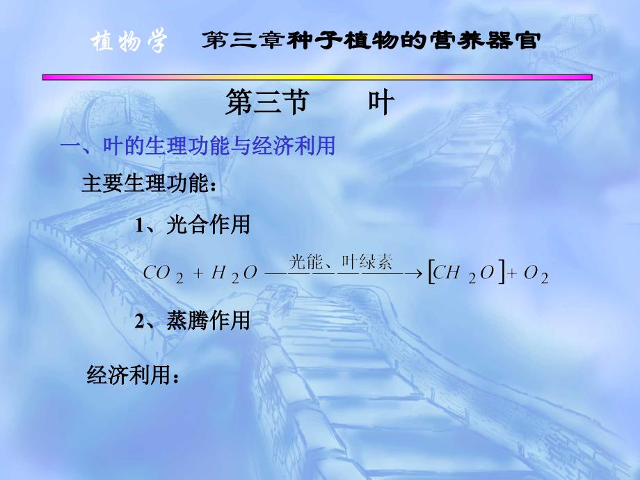 植物学第三部分种子植物的营养器官2讲解材料_第1页