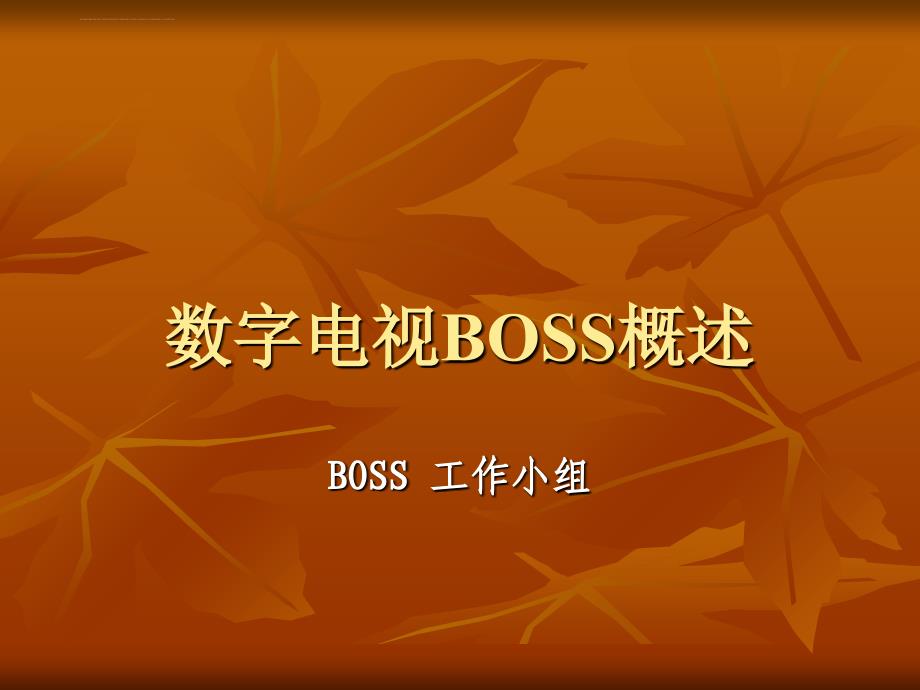 数字电视BOSS简介_第1页