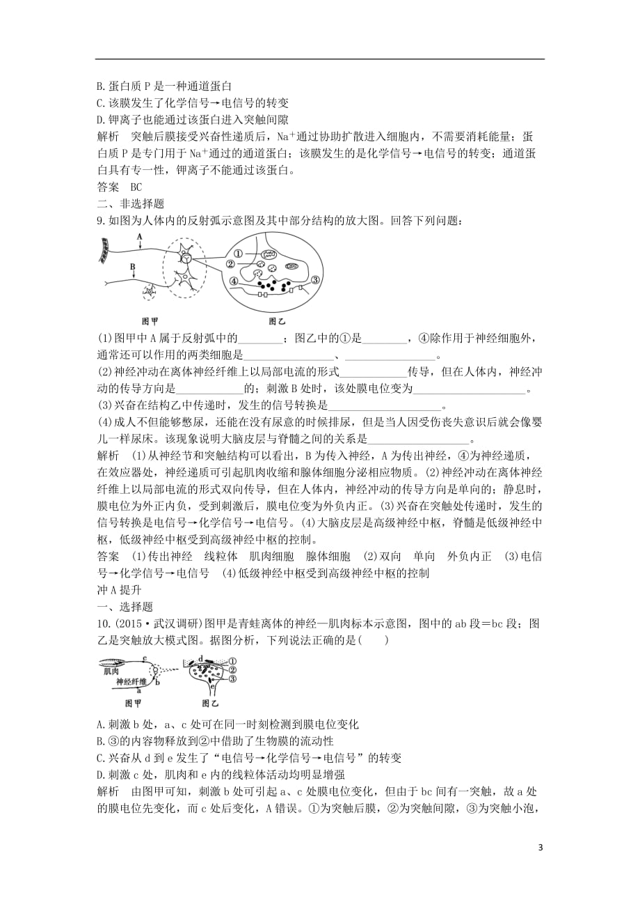 高考生物一轮复习第八单元生命活动的调节第25讲神经调节限时训练提升考能_第3页