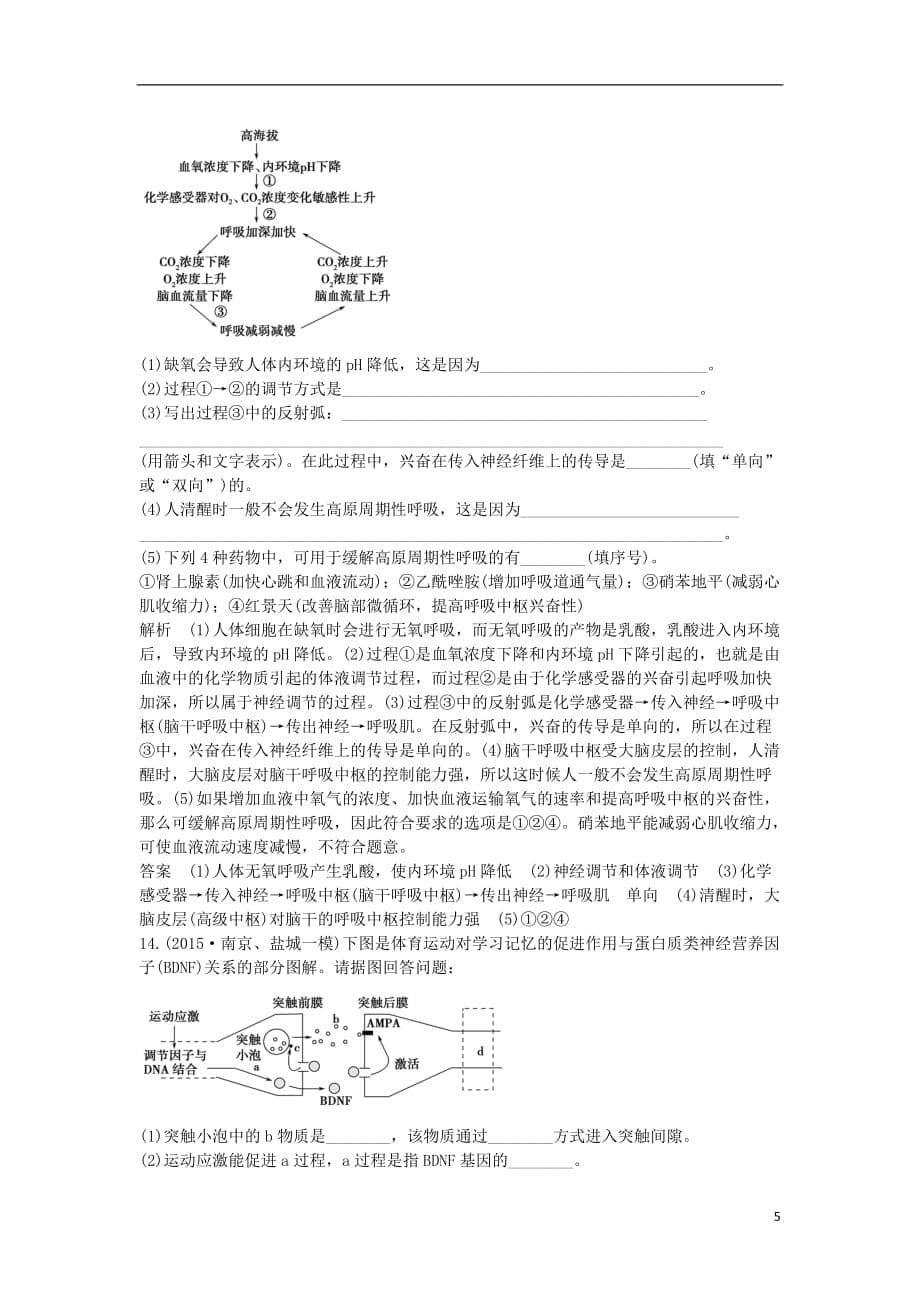 高考生物一轮复习第八单元生命活动的调节第25讲神经调节限时训练提升考能_第5页