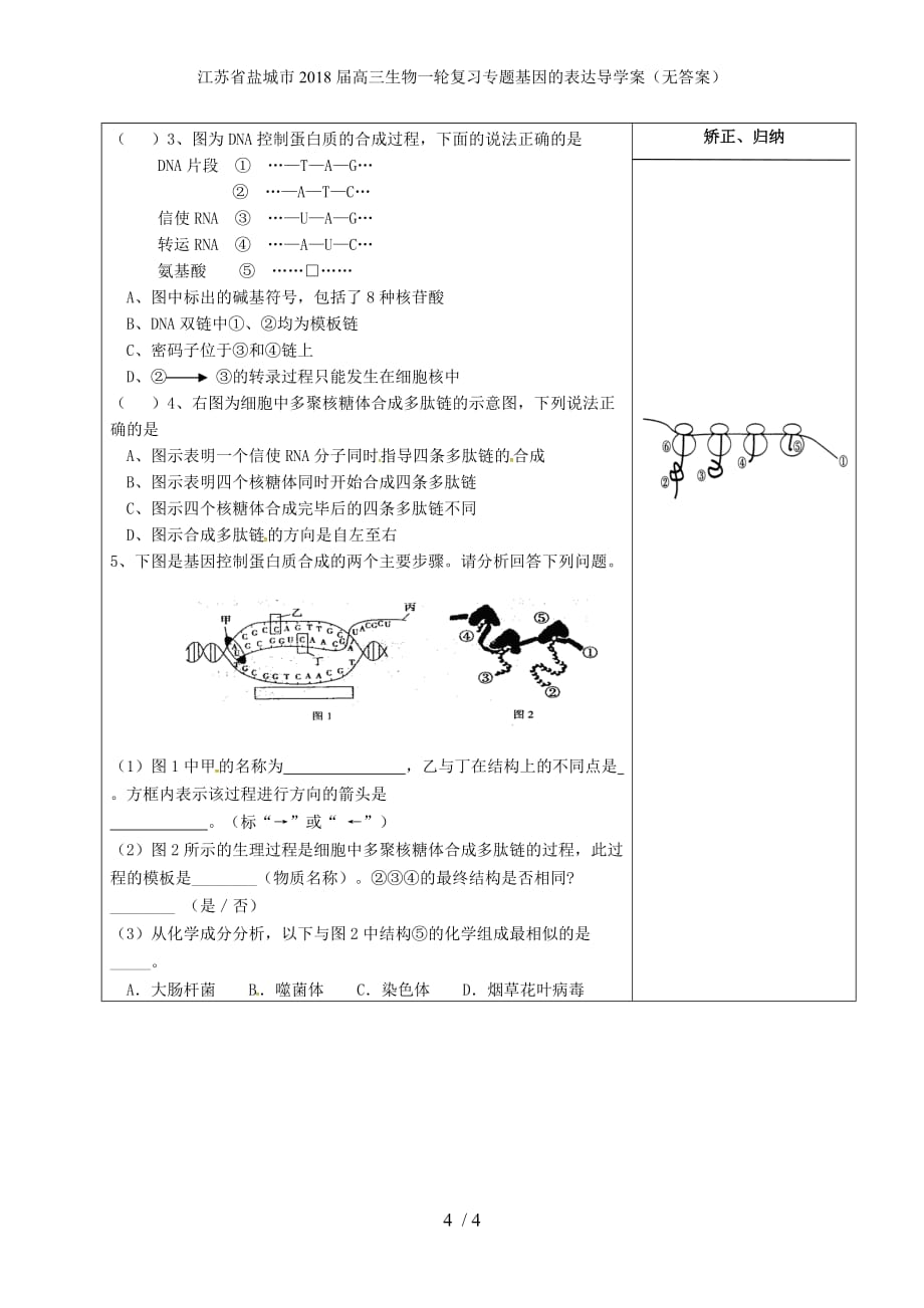 江苏省盐城市高三生物一轮复习专题基因的表达导学案（无答案）_第4页