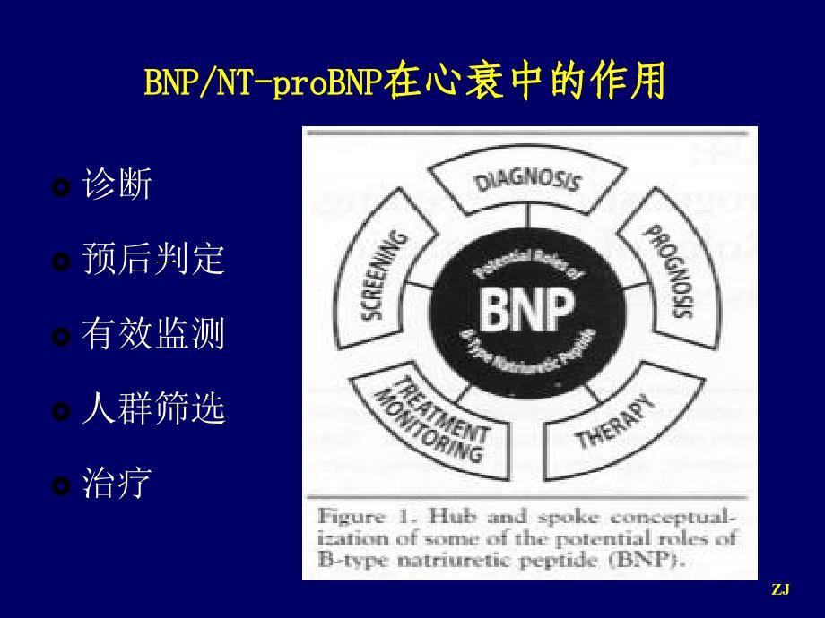 BNPNT-proBNP监测在心力衰竭诊治中的应用研究报告_第2页