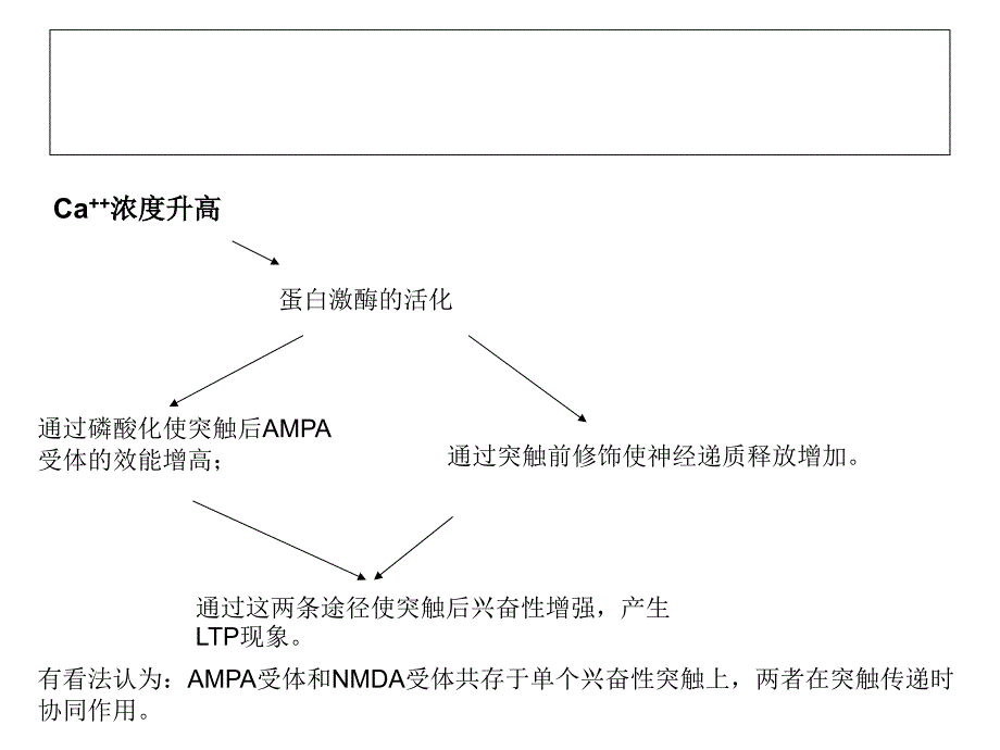 AMPA受体与突触可塑性教学提纲_第4页