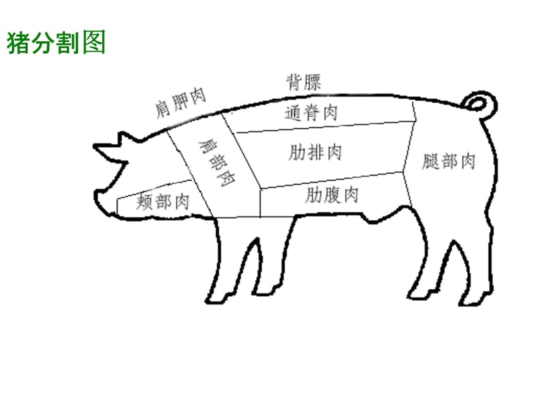 猪加工厂产品知识培训幻灯片课件_第5页