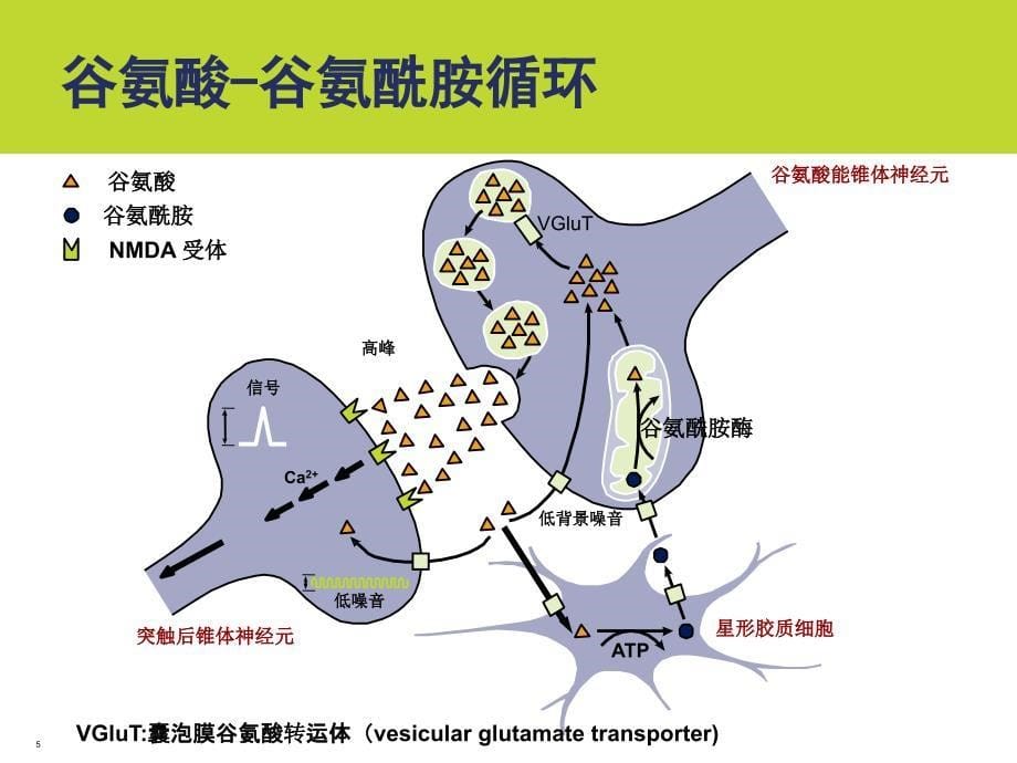 AD治疗新进展讲课讲稿_第5页