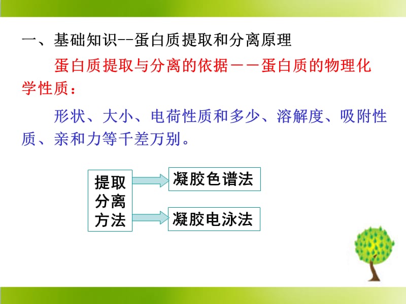 血红蛋白的提取和分离-课件_第5页