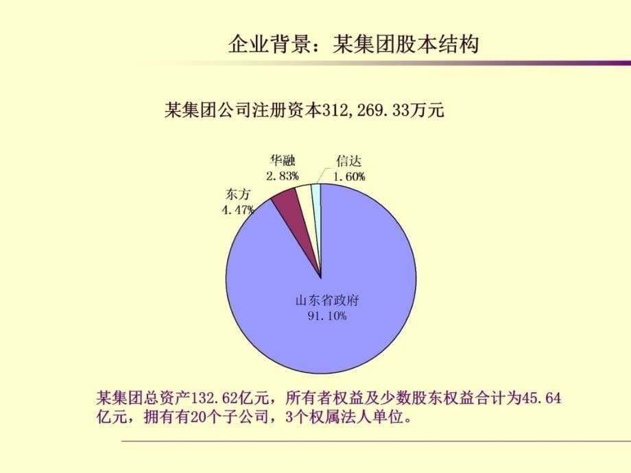 中企东方资产管理有限责任公司企业改制项目建议书说课讲解_第5页