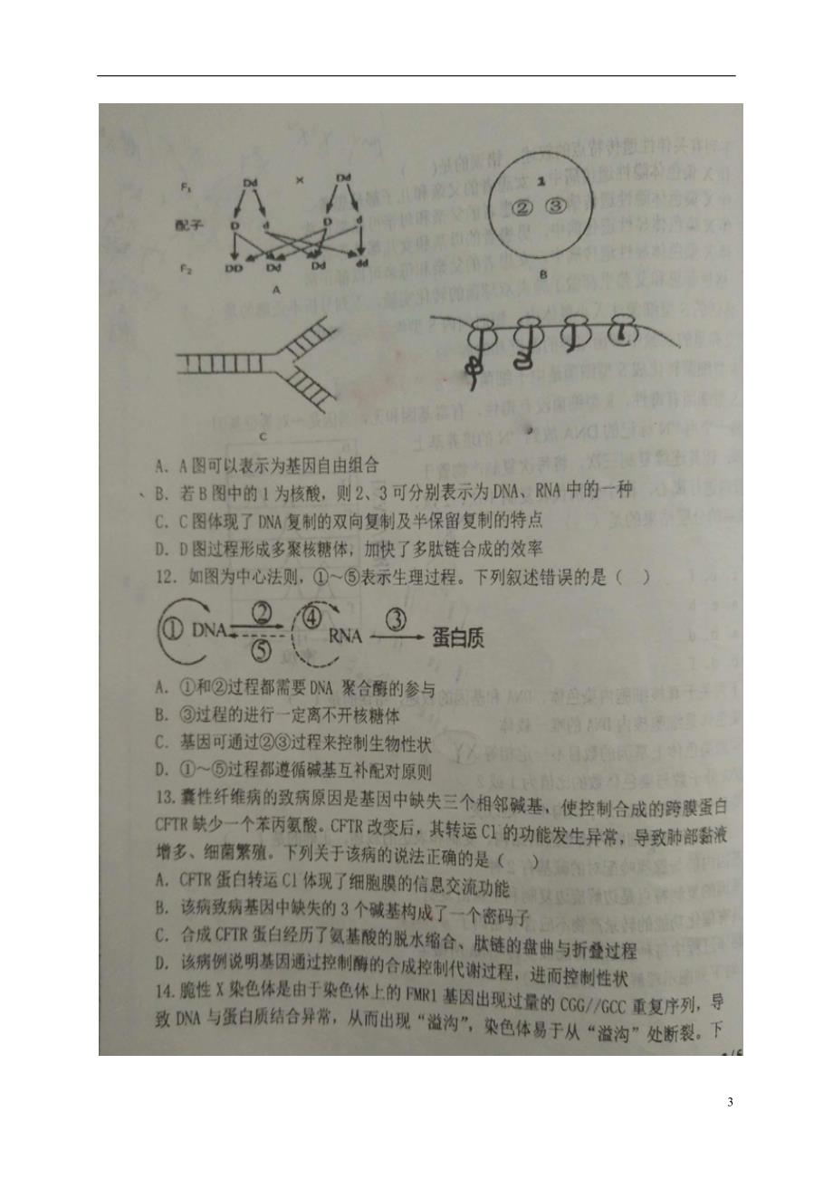 辽宁省高二生物上学期期中（11月月考）试题（扫描版）_第3页