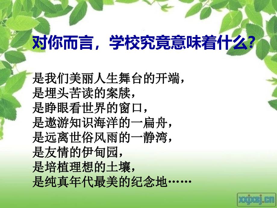 绿色校园主题班会-PPT(精)_第3页