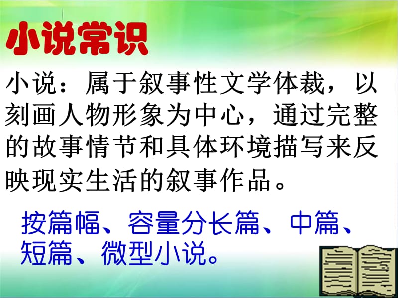 《最后一课》示范课一等奖ppt课件演示教学_第4页