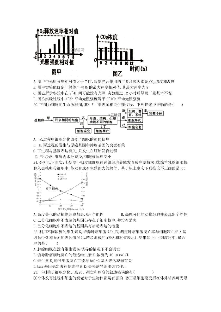 江西省赣州市石城中学2020届高三生物上学期第十次周考试题A[含答案].doc_第5页