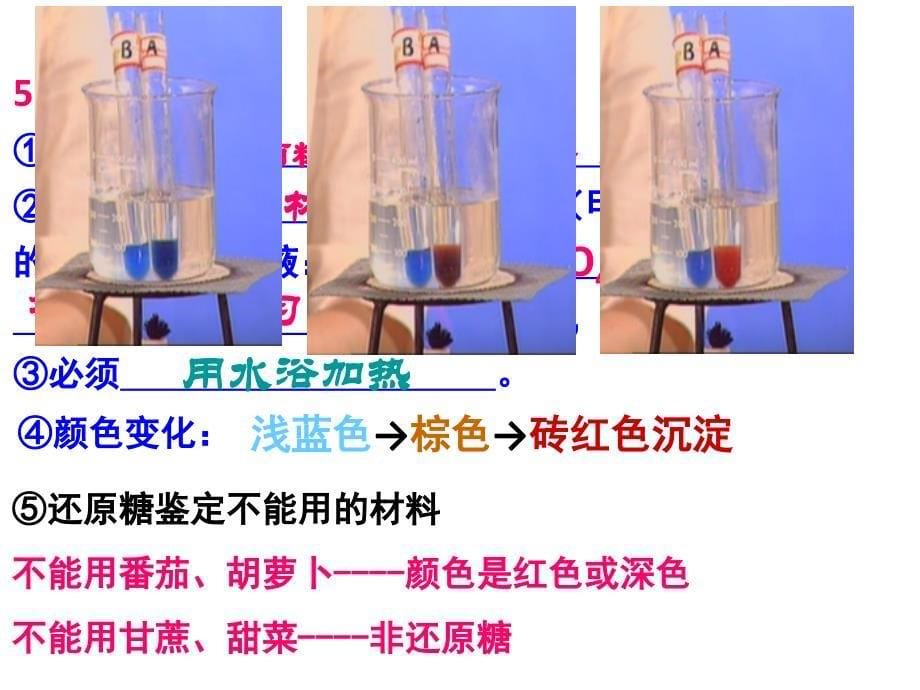 检测生物组织中糖类脂肪和蛋白质_第5页