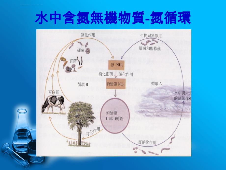 水中含氮污染物质於离子层析仪之检测与分析_第4页