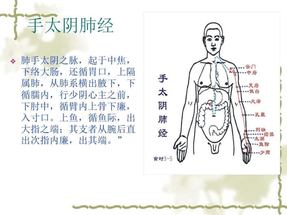 经络穴位讲座讲课教案_第5页