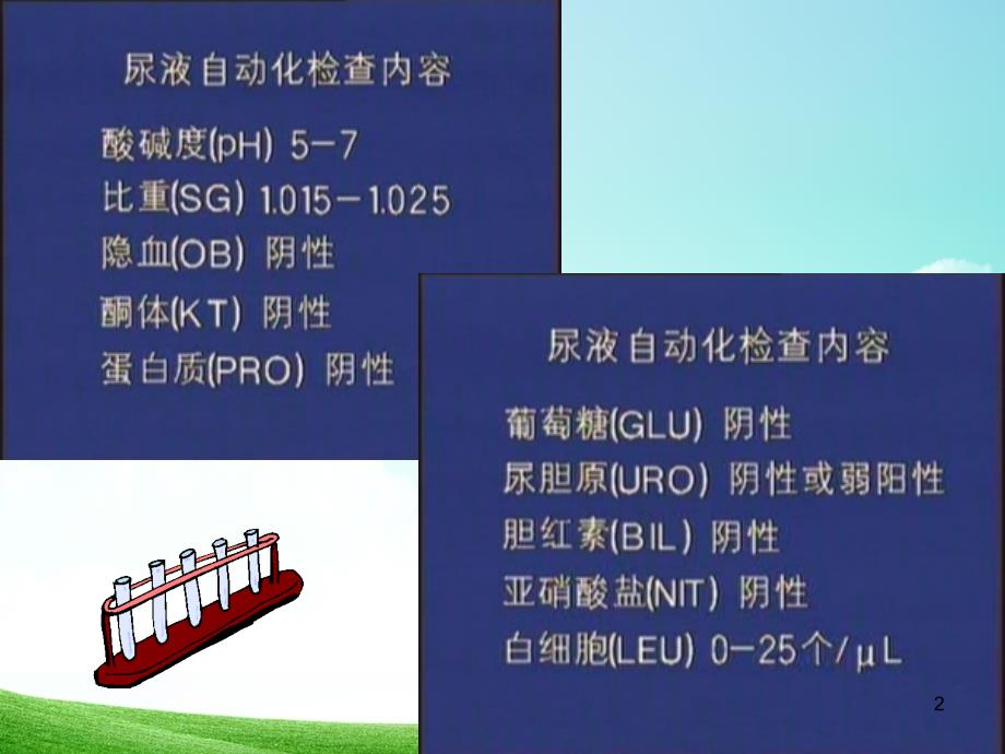 尿常规和粪常规解读PPT课件_第2页