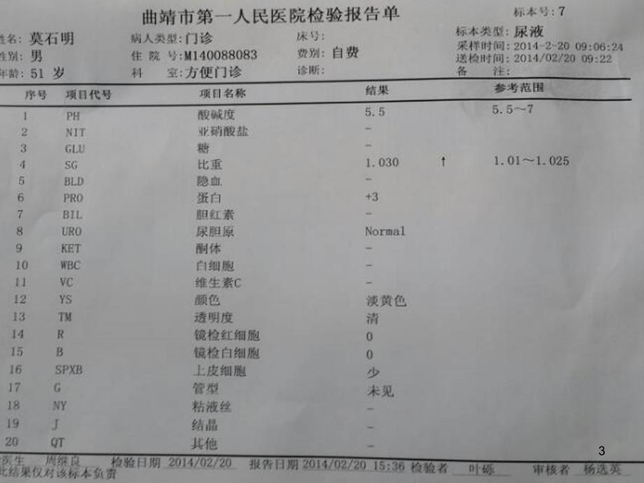 尿常规和粪常规解读PPT课件_第3页