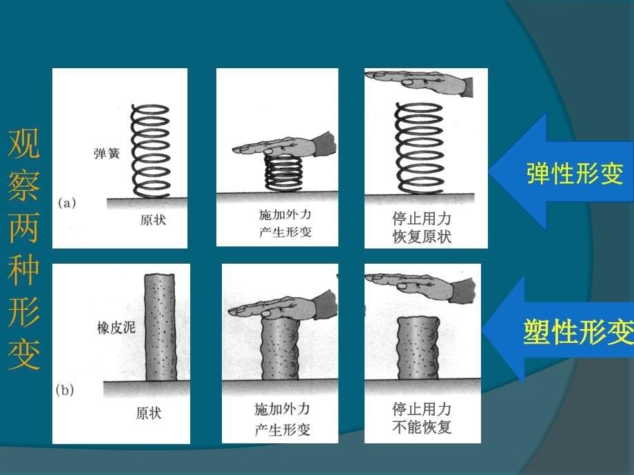 《弹力》PPT课件[38页]_第5页