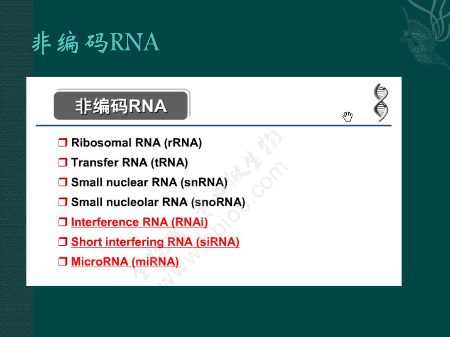 RNAi课件上课讲义_第3页