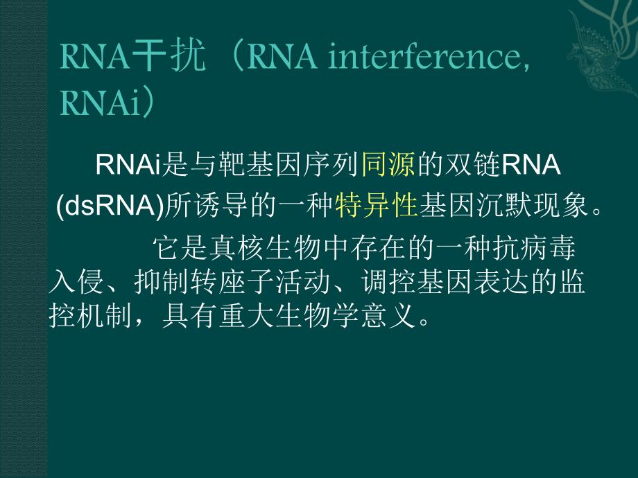 RNAi课件上课讲义_第4页