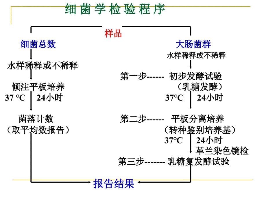 水中细菌总数和大肠杆菌检测_第5页