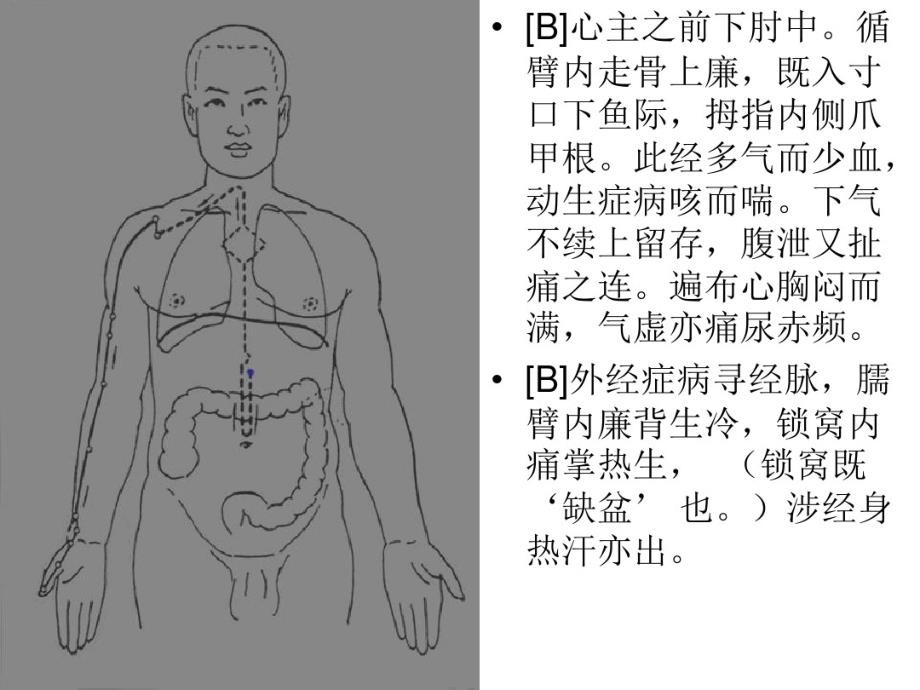 经络养生与子午流柱(1)教学文案_第2页