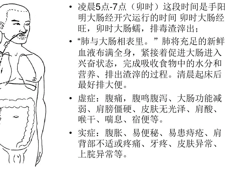 经络养生与子午流柱(1)教学文案_第3页