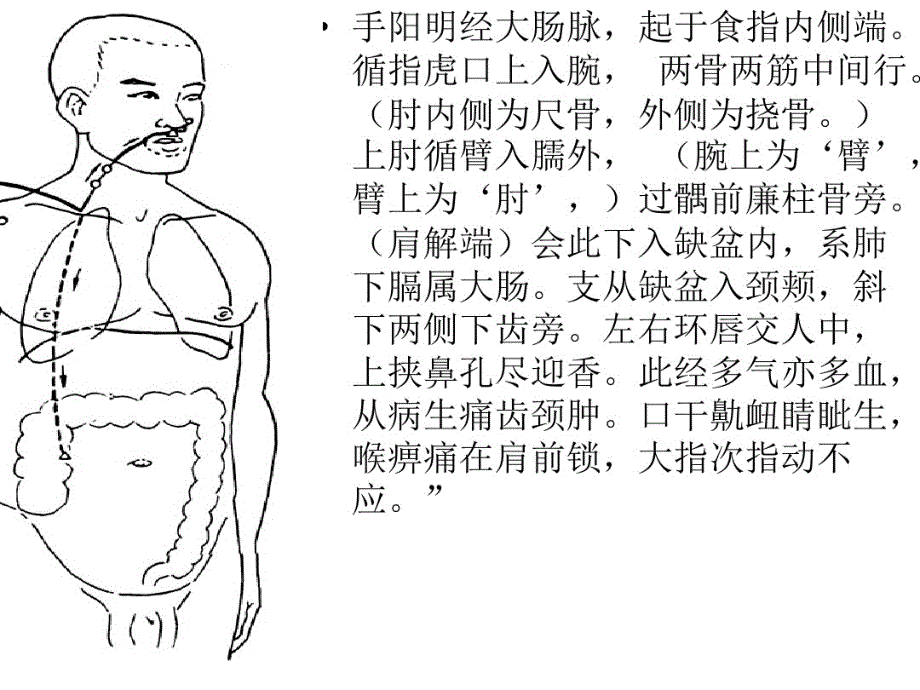 经络养生与子午流柱(1)教学文案_第4页