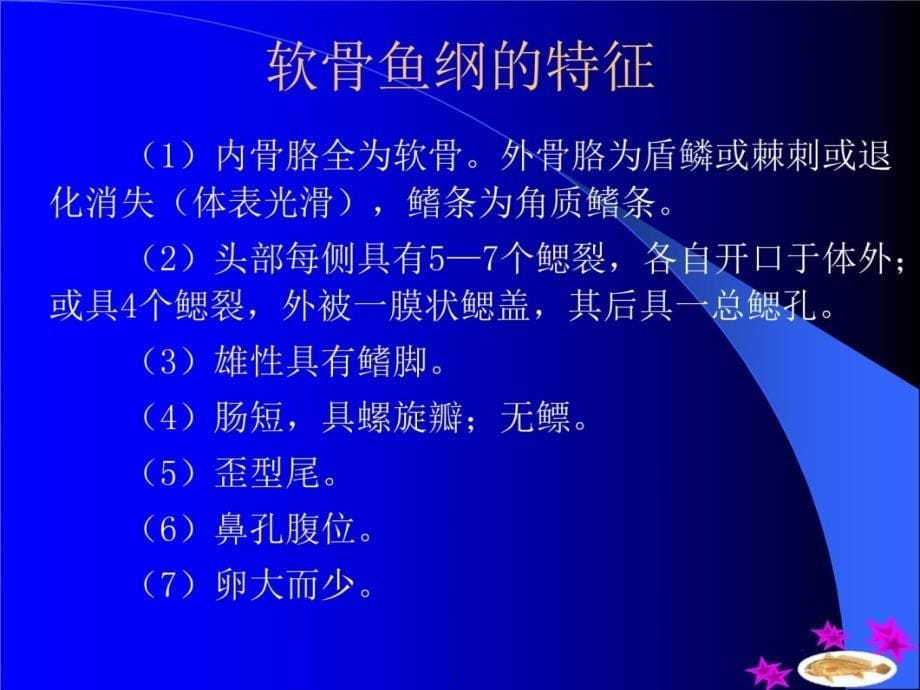 第十三部分圆口纲Cyclosyomata教学课件资料讲解_第5页