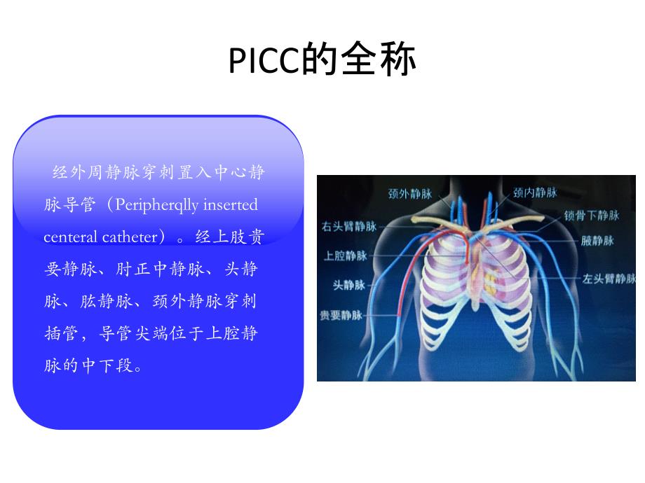 PICC置管护理电子教案_第2页