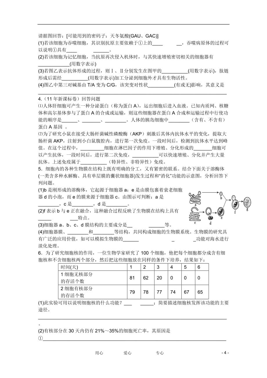 2013届高三生物 细胞结构2测试题.doc_第4页