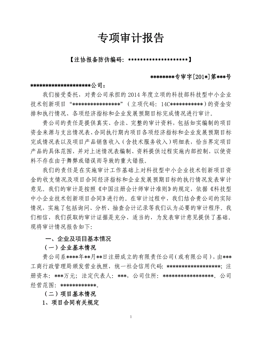 技术创新项目专项审计报告doc-科技型中小企业技术创新项目_第2页