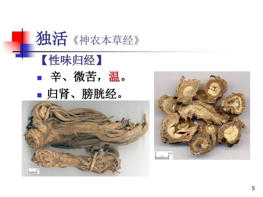 《祛风湿药》PPT课件教学文稿_第5页