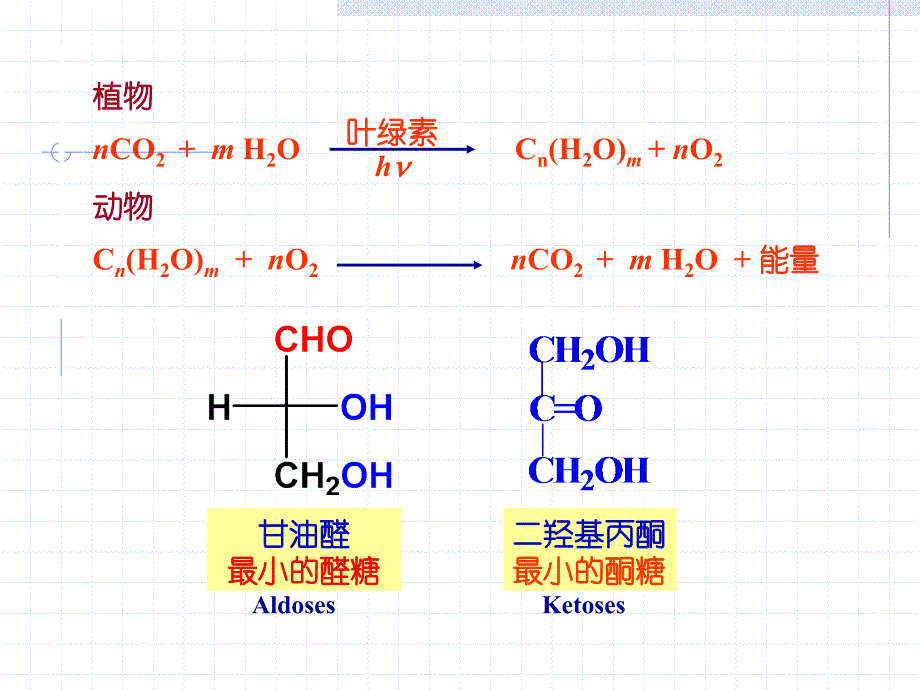 有机化学 第19章 碳水化合物_第4页