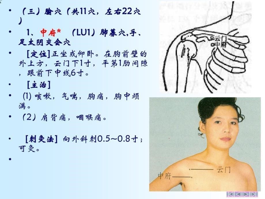 经络-手太阴肺经(1)教学提纲_第5页