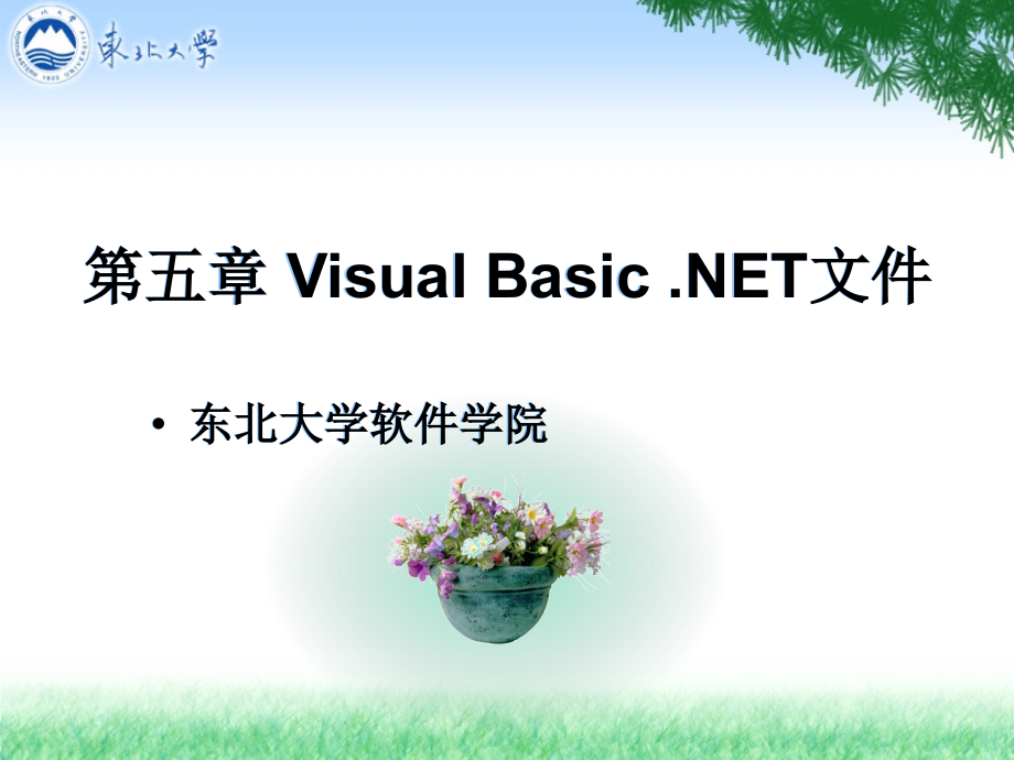 第五章VisualBasicNET文件教学教材_第1页