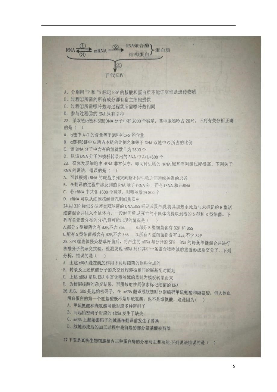 江西省南昌县高三生物11月质量检测试题（扫描版）_第5页