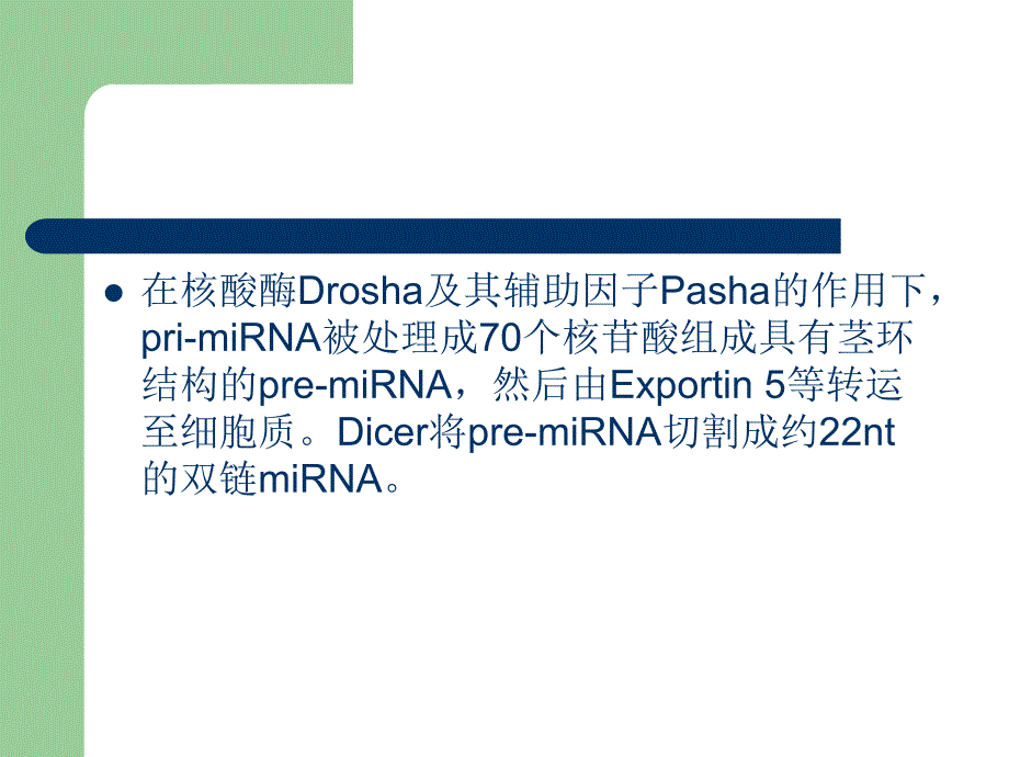 miRNA 靶基因识别和功能调节培训讲学_第3页