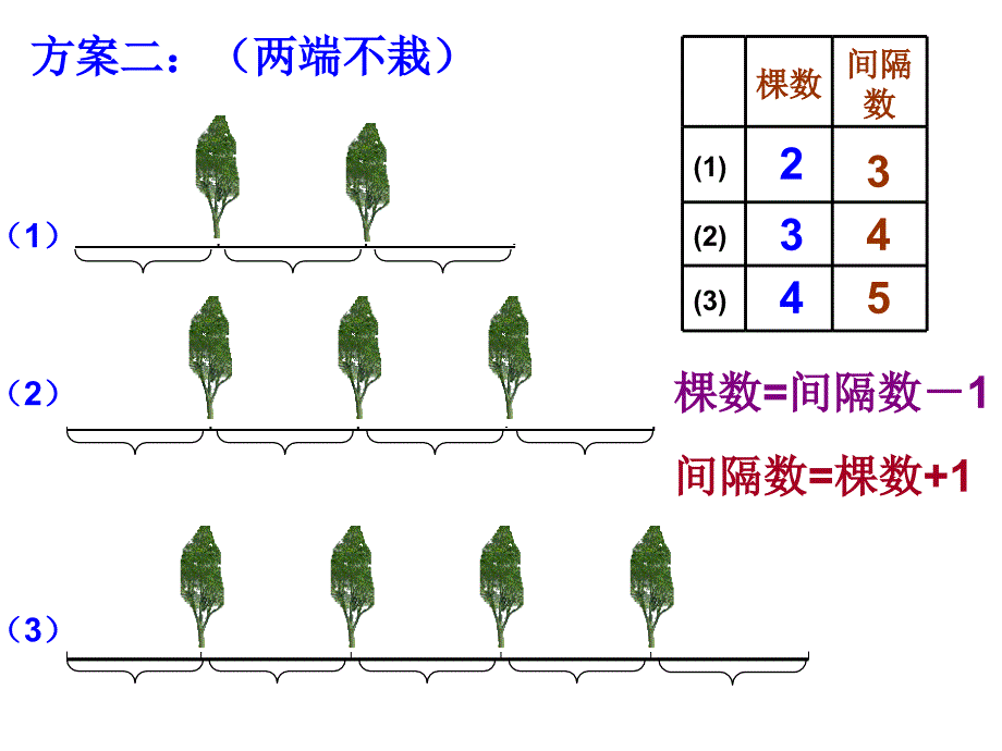 植树问题 两端不种一端都种_第3页