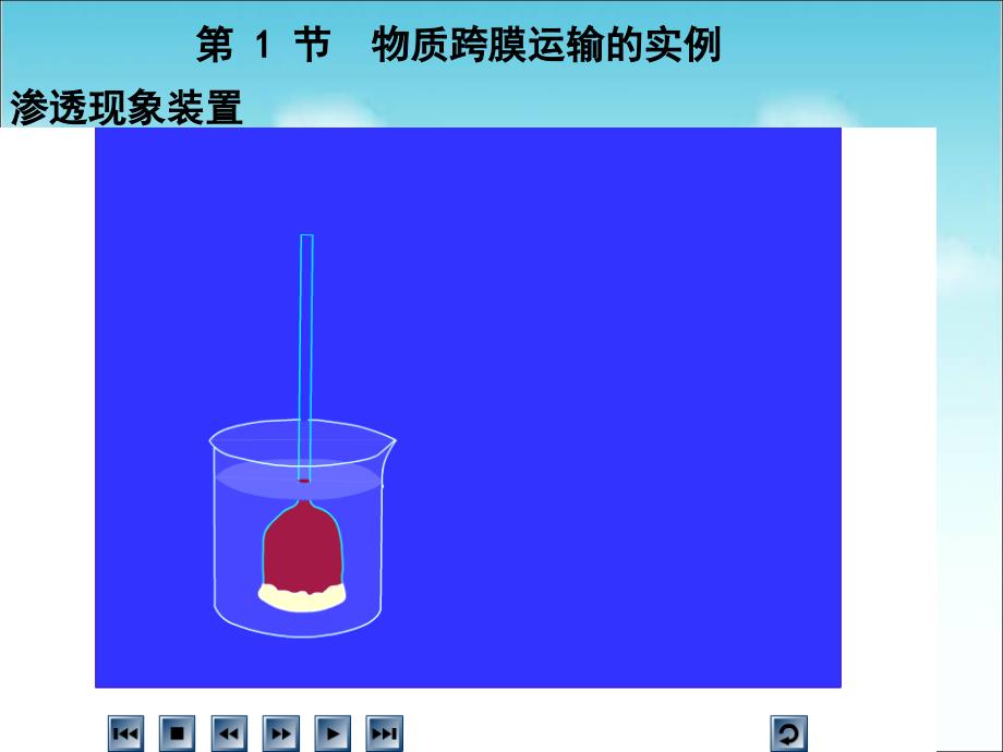 《植物细胞的吸水和失水》实验探究课件教学内容_第2页