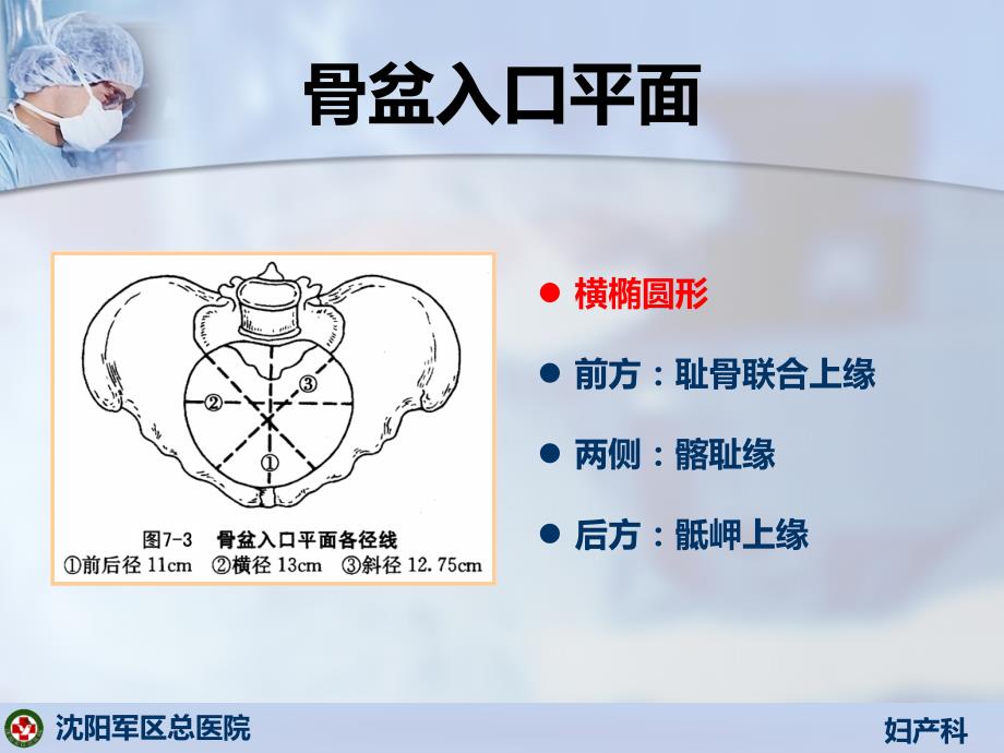 分娩机制PPT课件_第3页